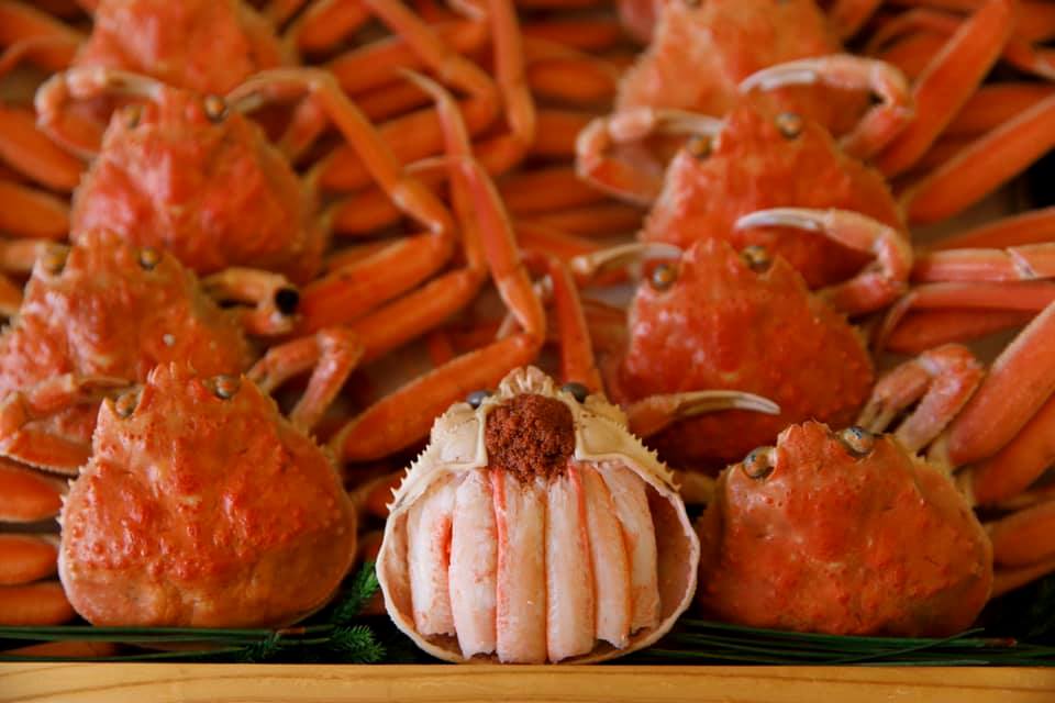 78842606_2639451599457856_8435428056968986624_n