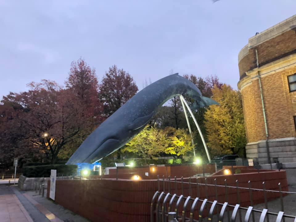 79095756_2631663836903299_5484352768007208960_n